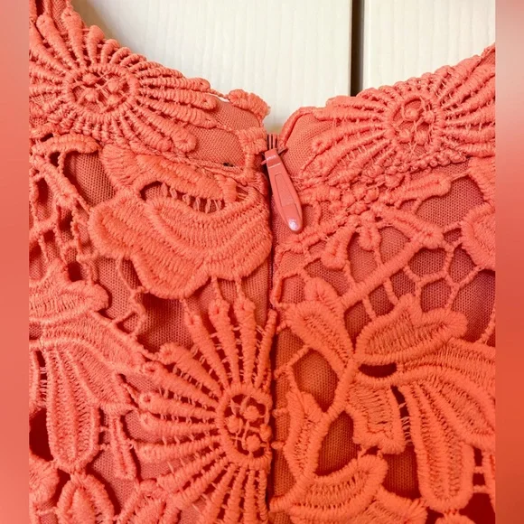 NWT Lulus Coral Orange Lace Halter Mini Dress - Picture 8 of 14